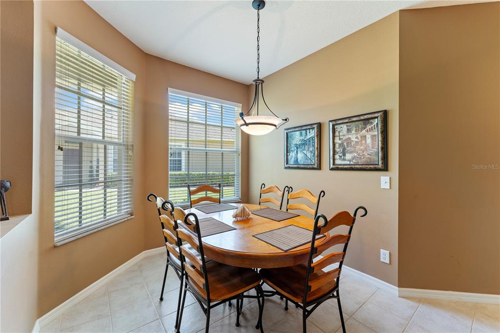 A dining area features a wooden table, four chairs, a pendant light, and two windows — 19182 LAKE AUDUBON DRIVE, TAMPA, FL