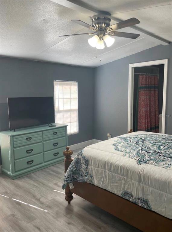 A bedroom features gray walls, light wood-look flooring, a ceiling fan, and a teal dresser — 5830 PORTSMOUTH DRIVE, TAMPA, FL