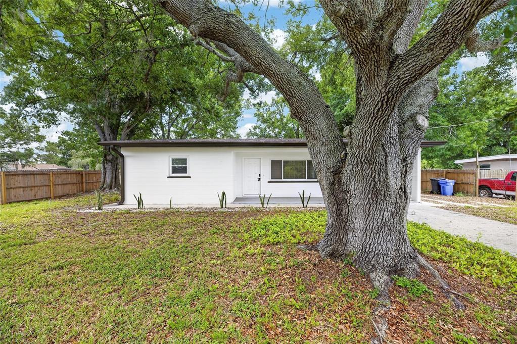 A white, single-story house with a large oak tree in the front yard — 204 7TH AVENUE NW, RUSKIN, FL