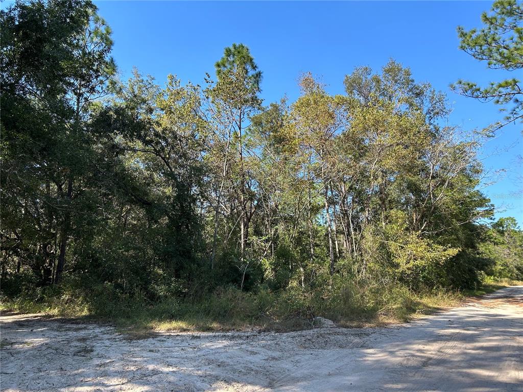 TBD NE 138TH TERR, WILLISTON, FL — photo 2 of 6