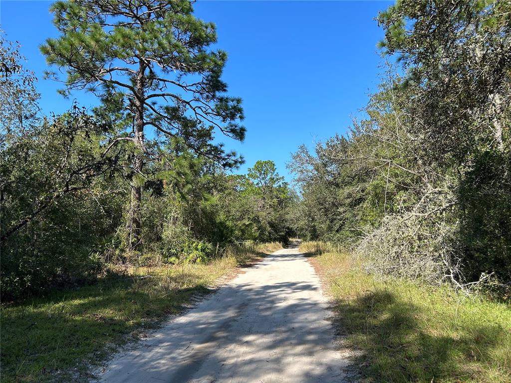 TBD NE 138TH TERR, WILLISTON, FL — photo 3 of 6