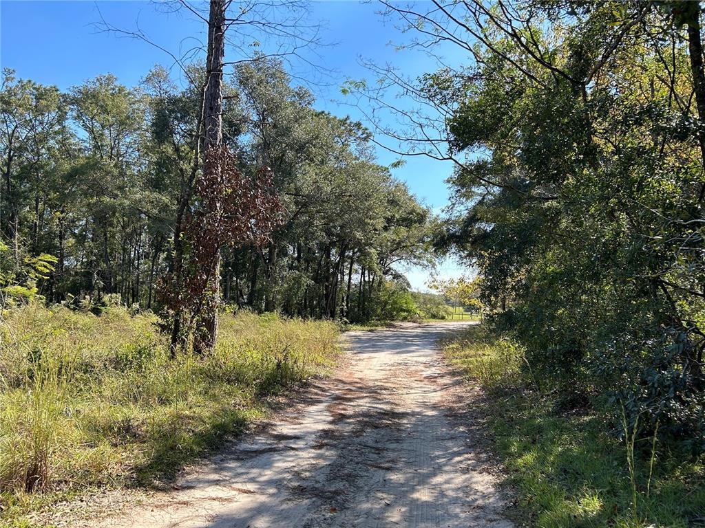 TBD NE 138TH TERR, WILLISTON, FL — photo 4 of 6