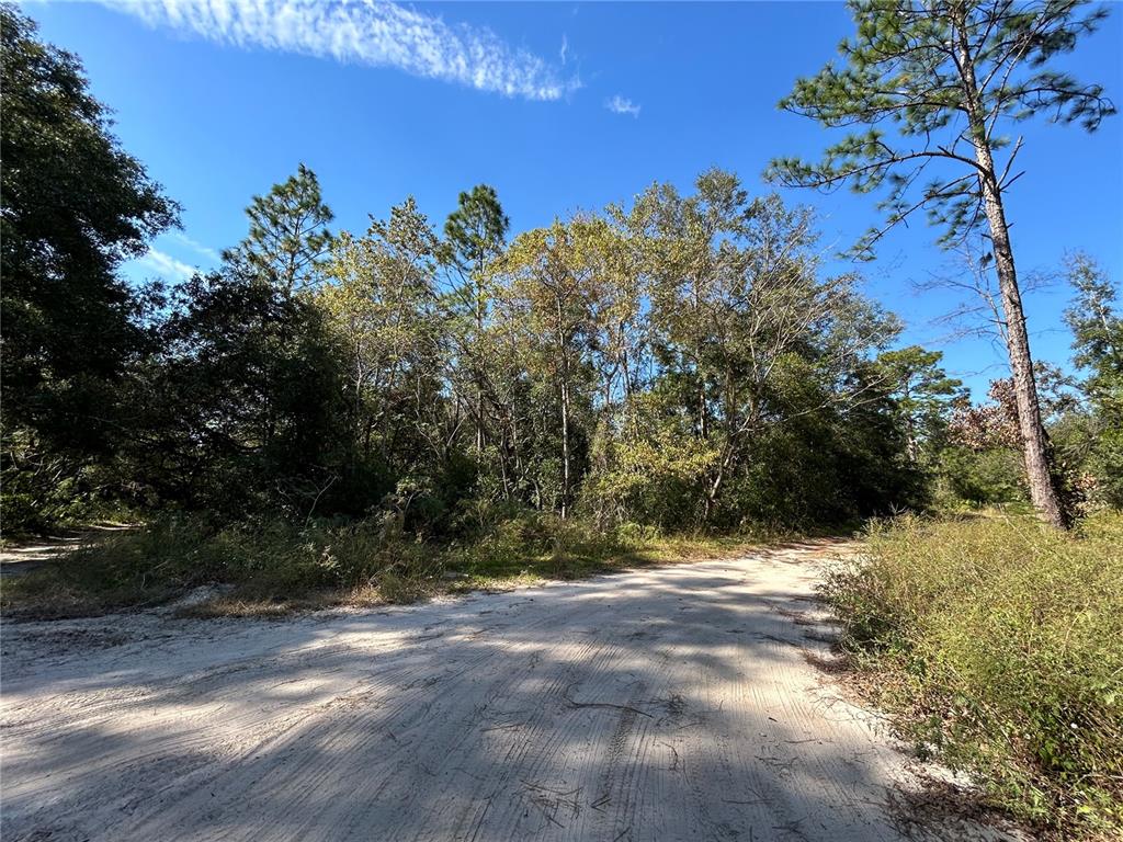 TBD NE 138TH TERR, WILLISTON, FL — photo 5 of 6