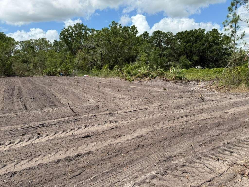 A cleared, dirt-covered lot features tire tracks and is bordered by a dense tree line — 3025 W METUCHEN ROAD, AVON PARK, FL