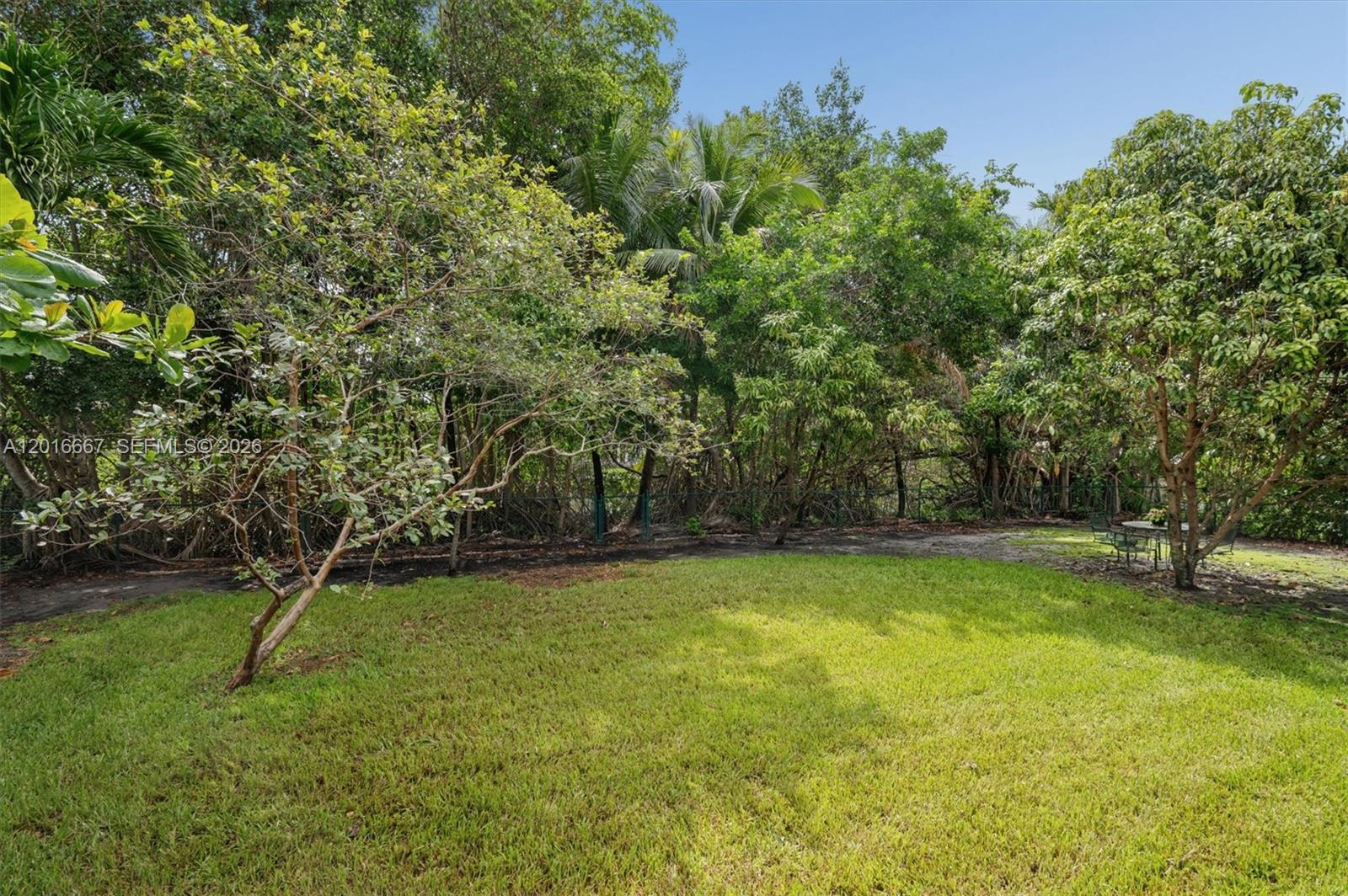 A grassy backyard features a small tree in the foreground and dense trees behind — 20021 NE 25th Ave, Miami FL 33180, MIAMI, FL
