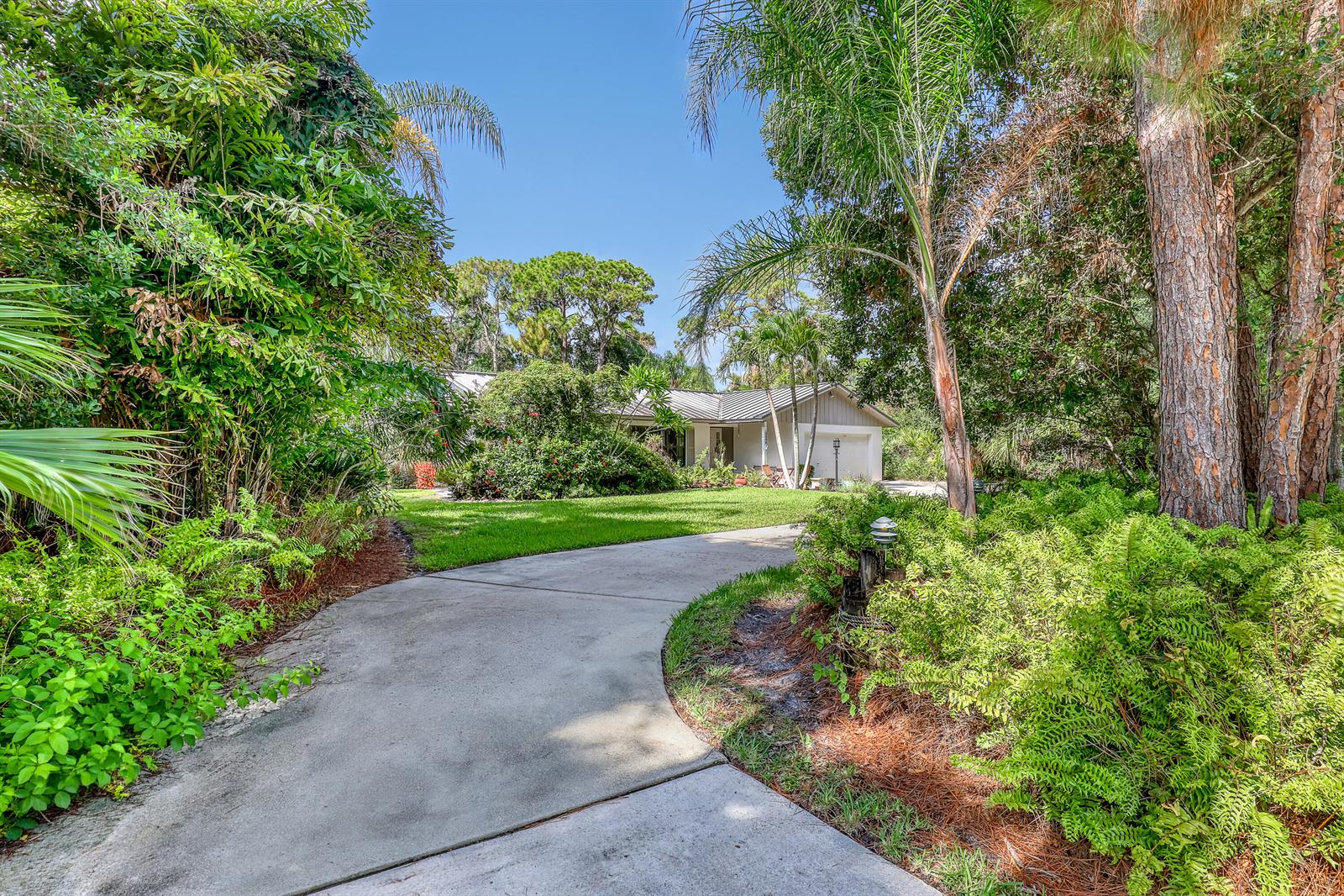 A concrete driveway leads to a single-story house surrounded by lush trees and landscaping — 5548 Shirley Drive, Jupiter FL 33458, JUPITER, FL