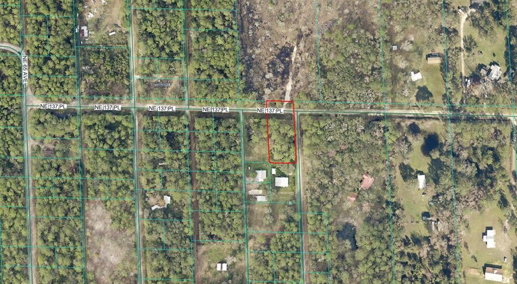 TBD NE 137TH PLACE, CITRA, FL — photo 4 of 11