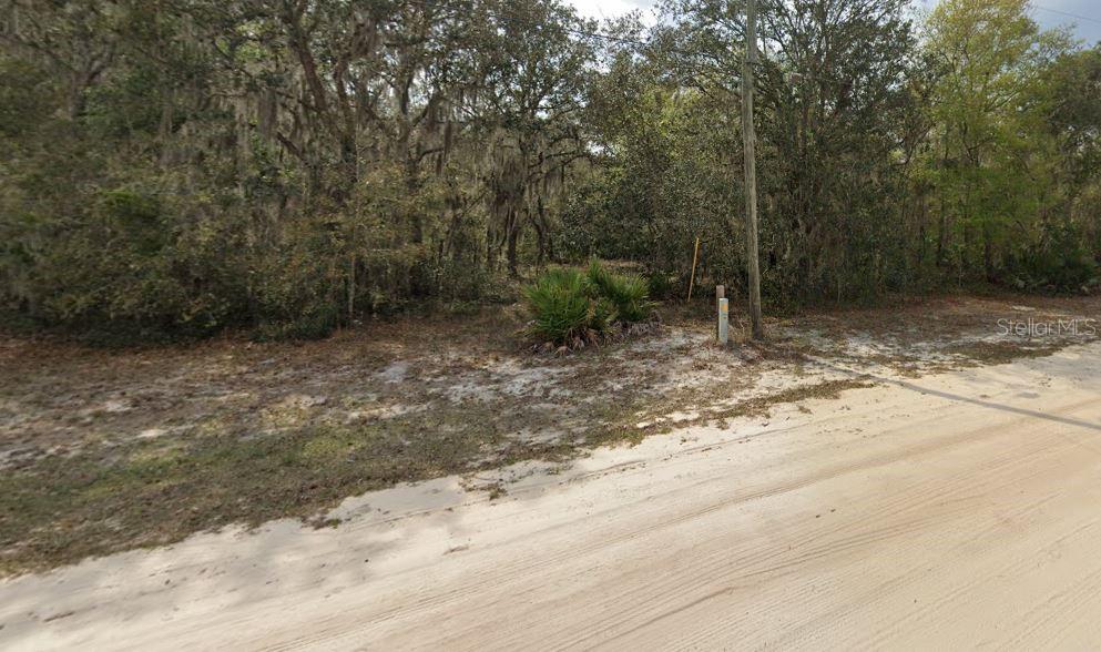 VIOLET CIRCLE, INTERLACHEN, FL — photo 4 of 5