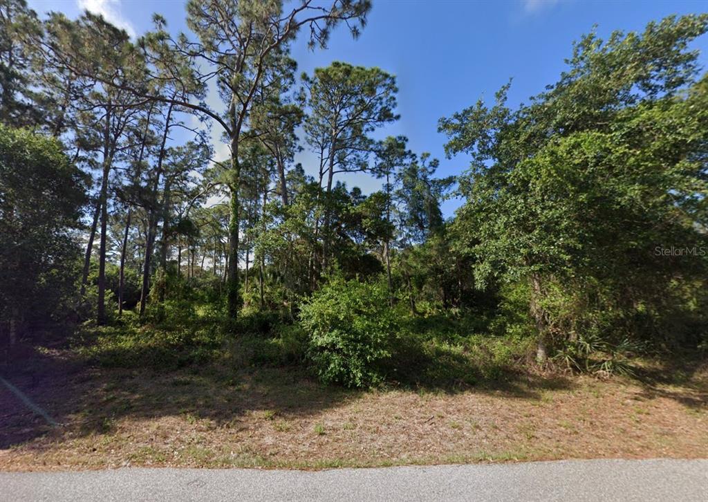A wooded, undeveloped residential lot viewed from a paved street under a clear blue sky — 18095 SHIRLEY AVENUE, PORT CHARLOTTE, FL