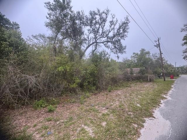 CR 687, WEBSTER, FL — photo 2 of 10