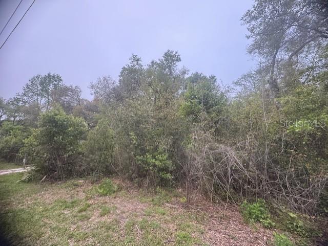 CR 687, WEBSTER, FL — photo 3 of 10