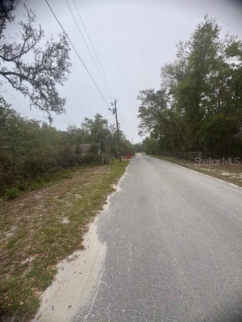 CR 687, WEBSTER, FL — photo 4 of 10