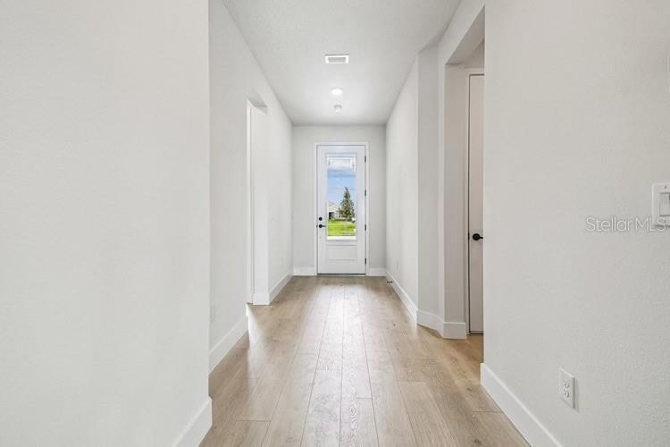 A bright hallway with light wood-look flooring leads to a glass-paneled exterior door — 11865 MILE MARSH DRIVE, RIVERVIEW, FL
