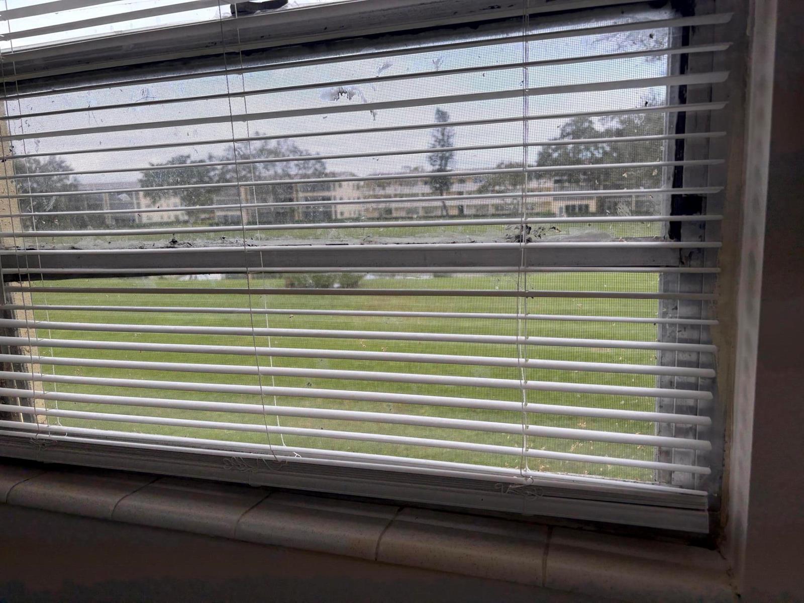 A window with white horizontal blinds looks out onto a grassy lawn and apartment buildings — 186 Dorset E, Boca Raton FL 33434, BOCA RATON, FL
