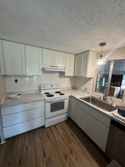 A kitchen features white cabinets, a white electric stove, and a stainless steel sink — 2462 HARVEY MILL CREEK ROAD, TALLAHASSEE, FL