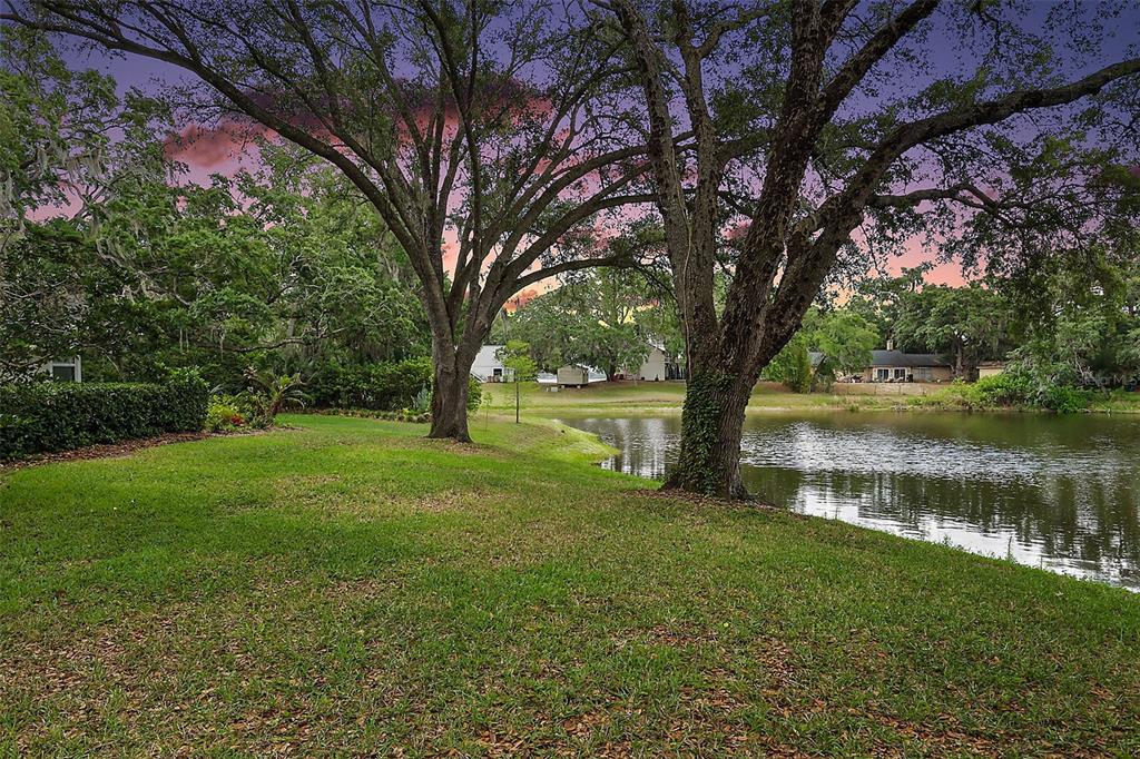A grassy lawn with large trees overlooks a pond at sunset — 33746 SPRING DRIVE, LEESBURG, FL