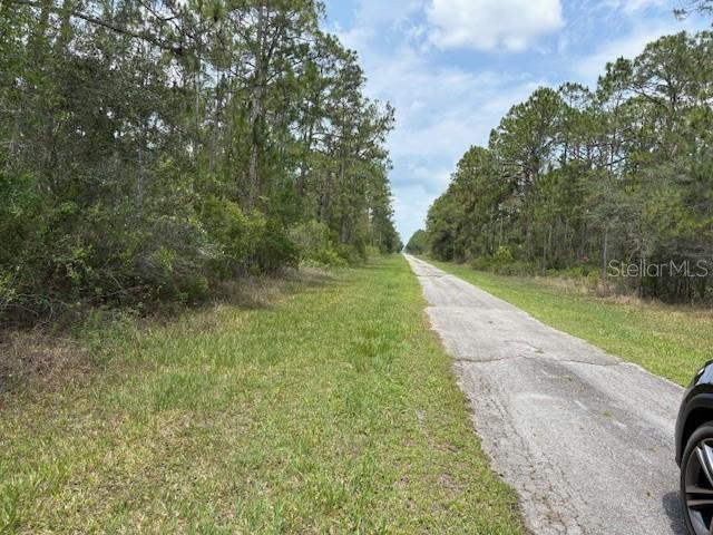 A narrow, weathered asphalt road stretches through a wooded area with grassy shoulders — 213 PLUMOSA DRIVE, INDIAN LAKE ESTATES, FL