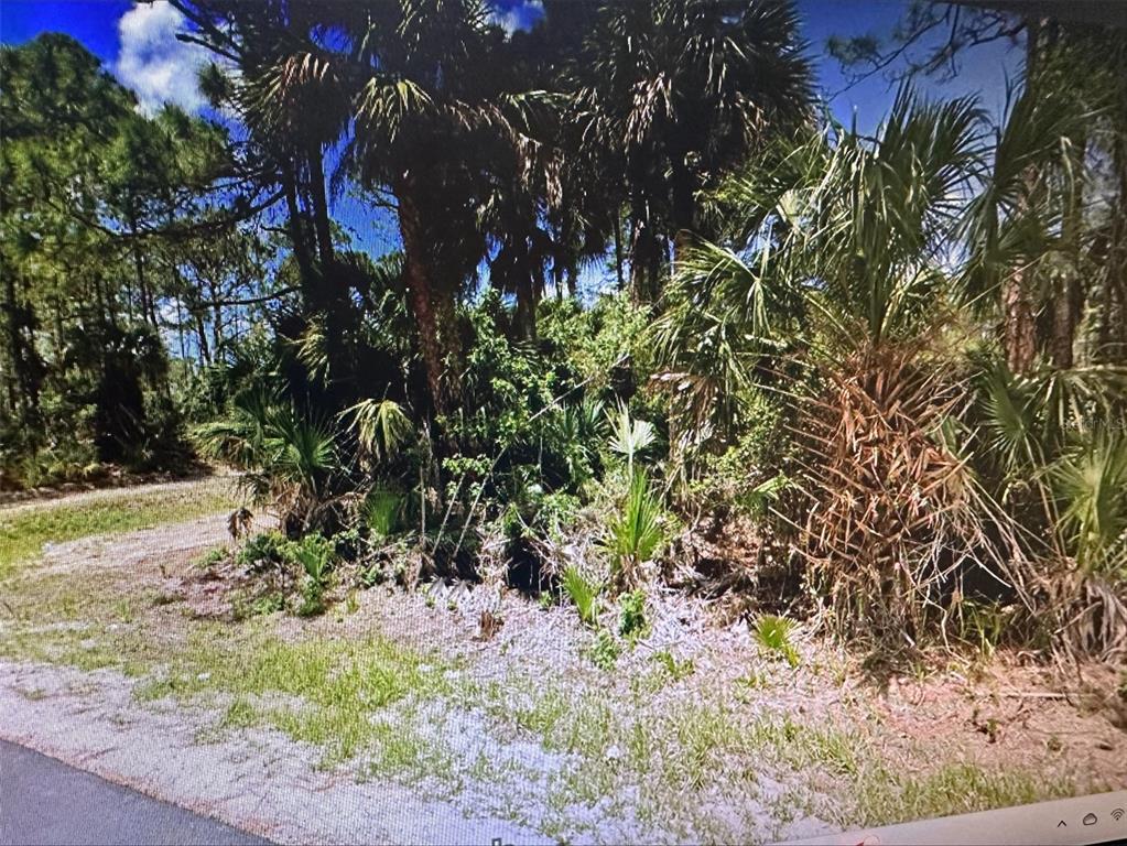 A dense cluster of palm trees and native vegetation grows on a vacant, grassy lot — 271 J T SANCHO STREET SW, PALM BAY, FL