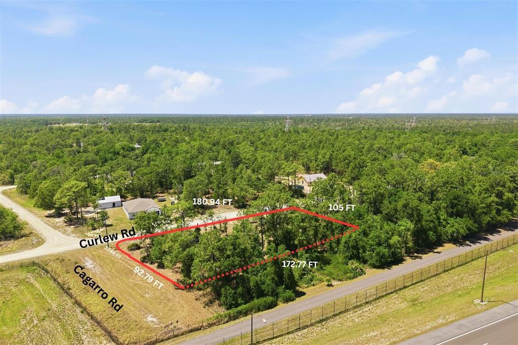 An aerial view shows a vacant, wooded corner lot outlined in red with street labels — Lot 10 CAGARRO ROAD, WEEKI WACHEE, FL