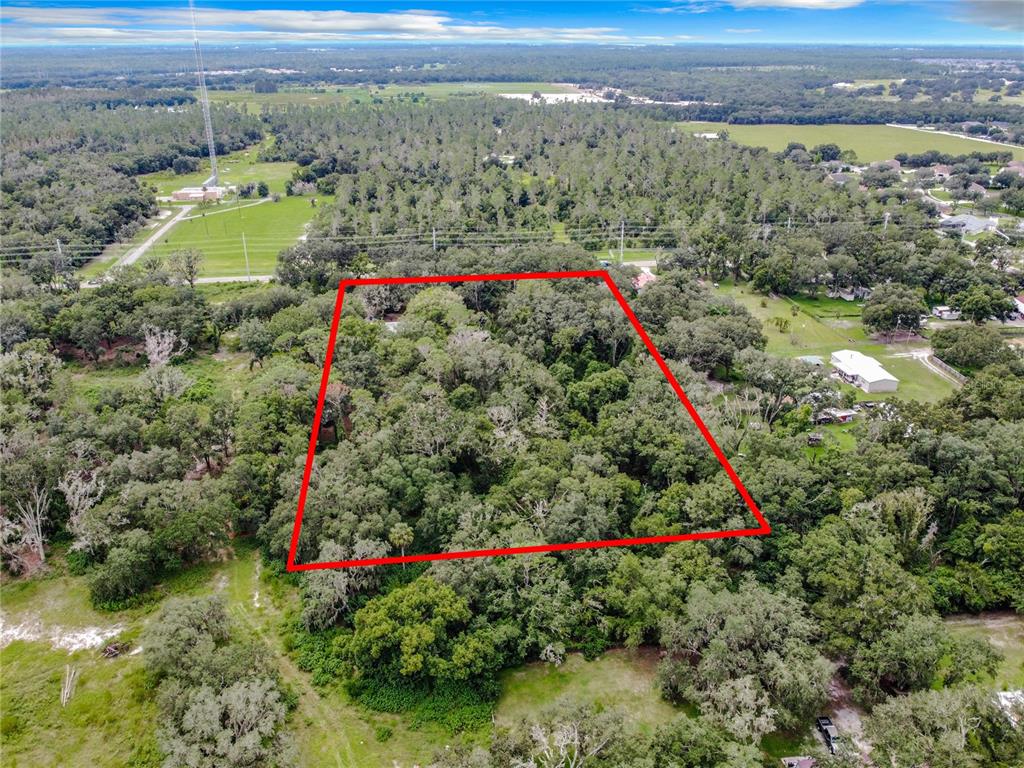 16206 BOYETTE ROAD, RIVERVIEW, FL — photo 3 of 14