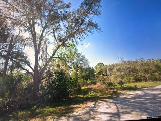 TOMS POND ROAD, EUSTIS, FL — photo 3 of 5