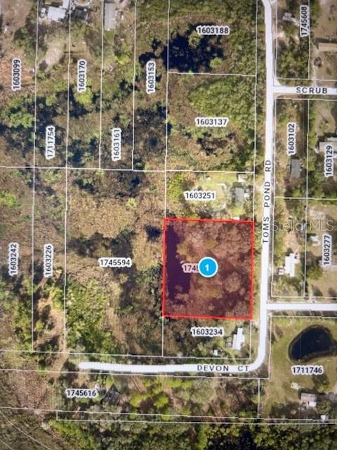 TOMS POND ROAD, EUSTIS, FL — photo 5 of 5
