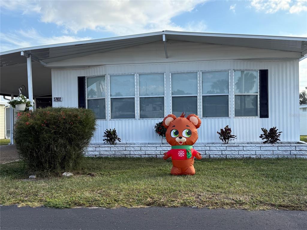 A white mobile home exterior features a large inflatable bear decoration on the front lawn — 37832 MADEIRA AVENUE, ZEPHYRHILLS, FL
