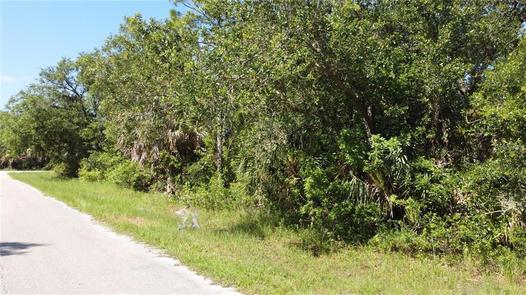 A paved road runs alongside a dense, wooded lot with various trees and shrubs — 3063 SARGEANT STREET, PORT CHARLOTTE, FL