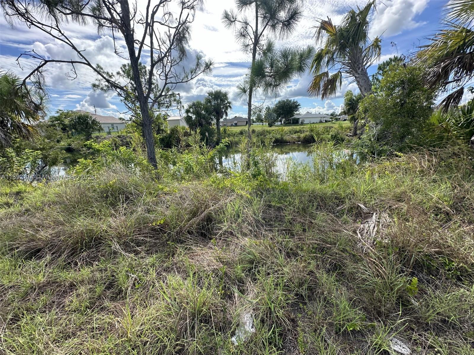A view of a grassy lot overlooking a small pond with trees and distant houses — 3527 NE 14 PL, Cape Coral FL 33993, CAPE CORAL, FL
