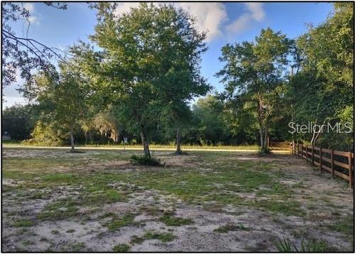A grassy, partially wooded vacant lot features a wooden fence along the right side — NE 135TH STREET, SALT SPRINGS, FL