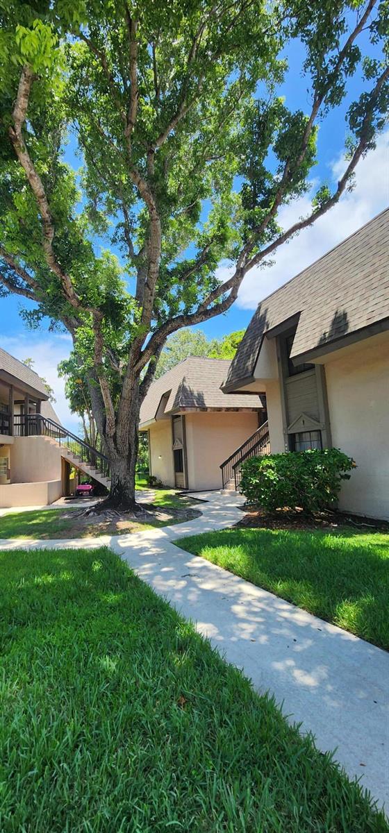 A concrete walkway leads between two multi-story apartment buildings shaded by a large mature tree — 3575 NW 94th Avenue # 8d, Sunrise FL 33351, SUNRISE, FL