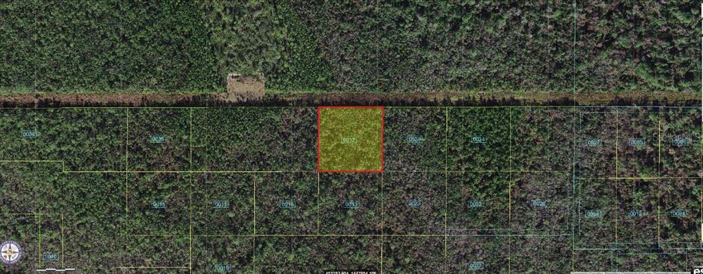This is an aerial map showing a highlighted rectangular parcel of land surrounded by forest — ROBIN TRAIL, KISSIMMEE, FL