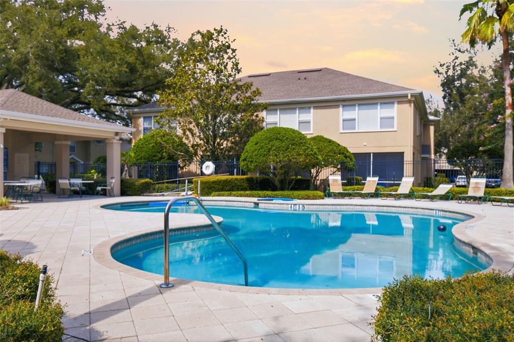A swimming pool with a metal handrail sits in front of a two-story apartment building — 4132 BISMARCK PALM DRIVE, TAMPA, FL
