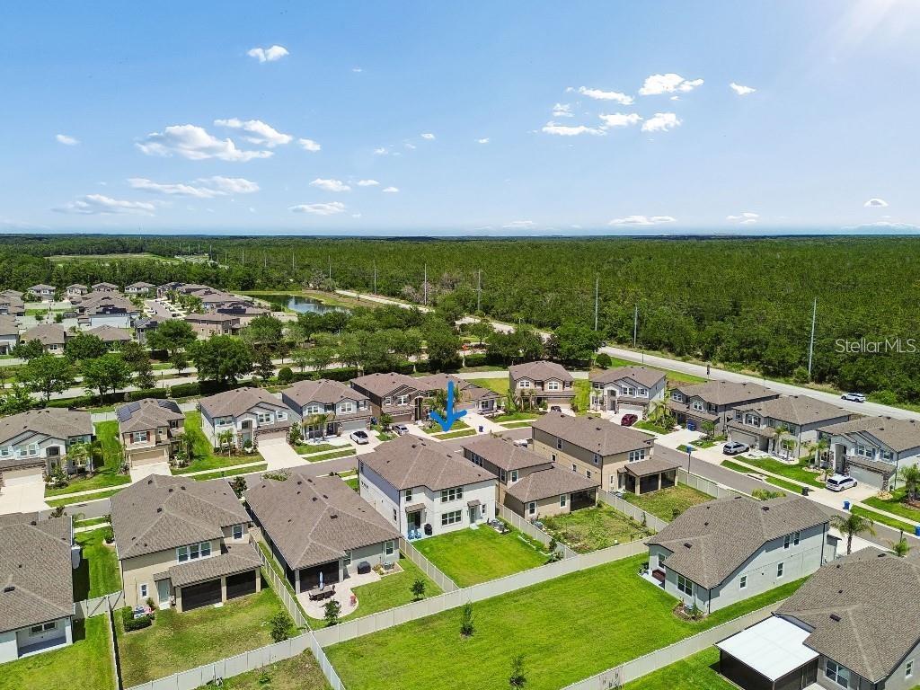 An aerial view of a suburban neighborhood featuring single-family homes with fenced backyards — 16011 SONOMA GROVE CIRCLE, TAMPA, FL
