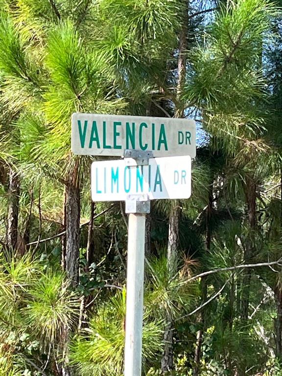 A street sign displays the names Valencia Dr and Limonia Dr against a backdrop of trees — 211 VALENCIA DRIVE, INDIAN LAKE ESTATES, FL