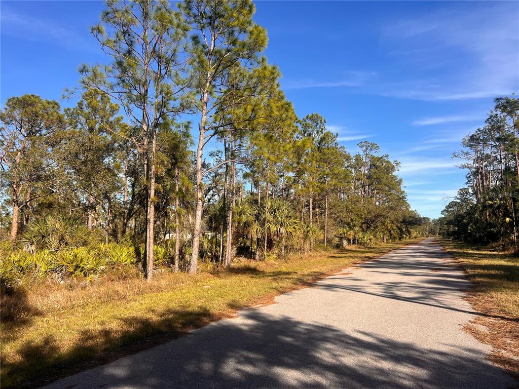 A paved road runs alongside a wooded lot with pine trees and palmetto bushes — 13092 HARBISON AVENUE, PORT CHARLOTTE, FL
