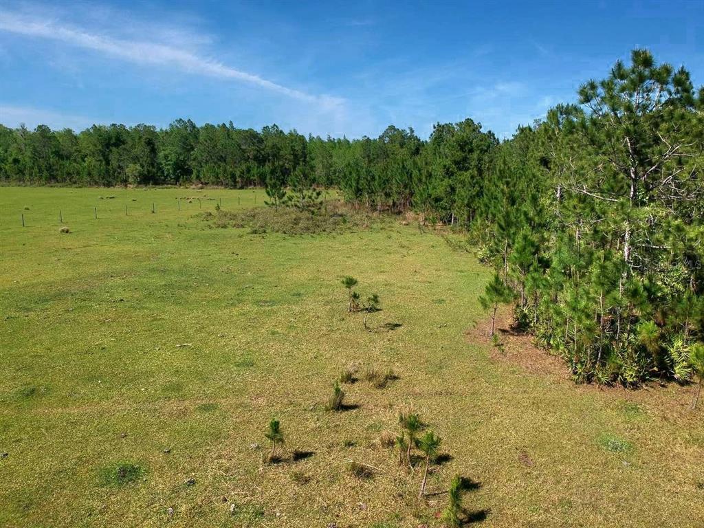 An aerial view shows a grassy pasture bordered by a dense line of pine trees — DEEN STILL RD E ROAD E Lot B-178, POLK CITY, FL