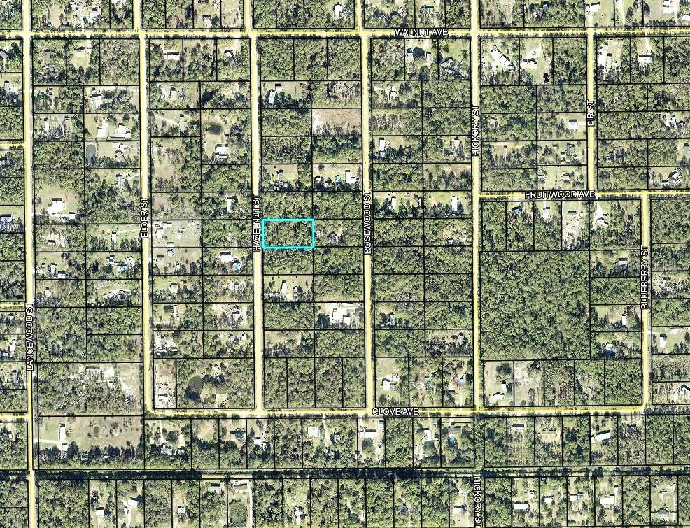 This is an aerial map showing a rectangular plot of land highlighted in blue — 2185 HAZELNUT STREET, BUNNELL, FL