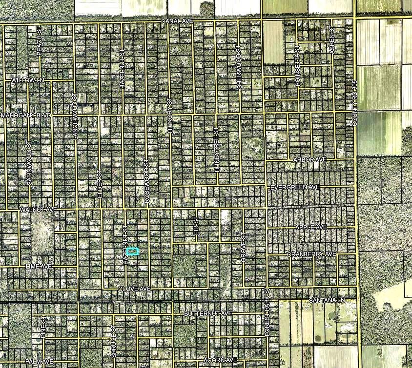 This is a map showing a grid of streets and residential lots in a rural area — 2185 HAZELNUT STREET, BUNNELL, FL