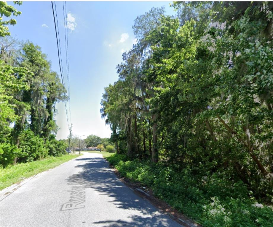 A paved road winds past a dense, wooded area with tall trees and hanging moss — TBD BROKEN ARROW DRIVE, NEW PORT RICHEY, FL