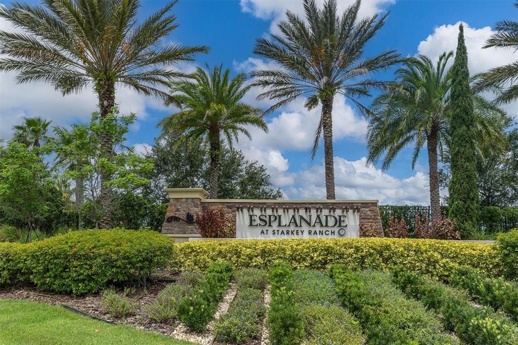 A stone monument sign for Esplanade at Starkey Ranch sits amidst palm trees and landscaping — 3142 FRANCOA DRIVE, ODESSA, FL