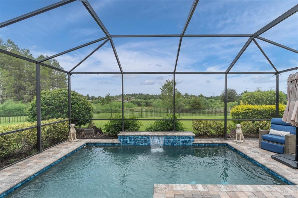 A screened-in pool area features a small waterfall, stone pavers, and a view of greenery — 3142 FRANCOA DRIVE, ODESSA, FL