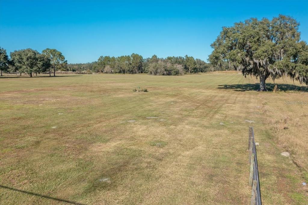 A wide, grassy field features scattered trees under a clear blue sky — 31935 COUNTY ROAD 52, SAN ANTONIO, FL
