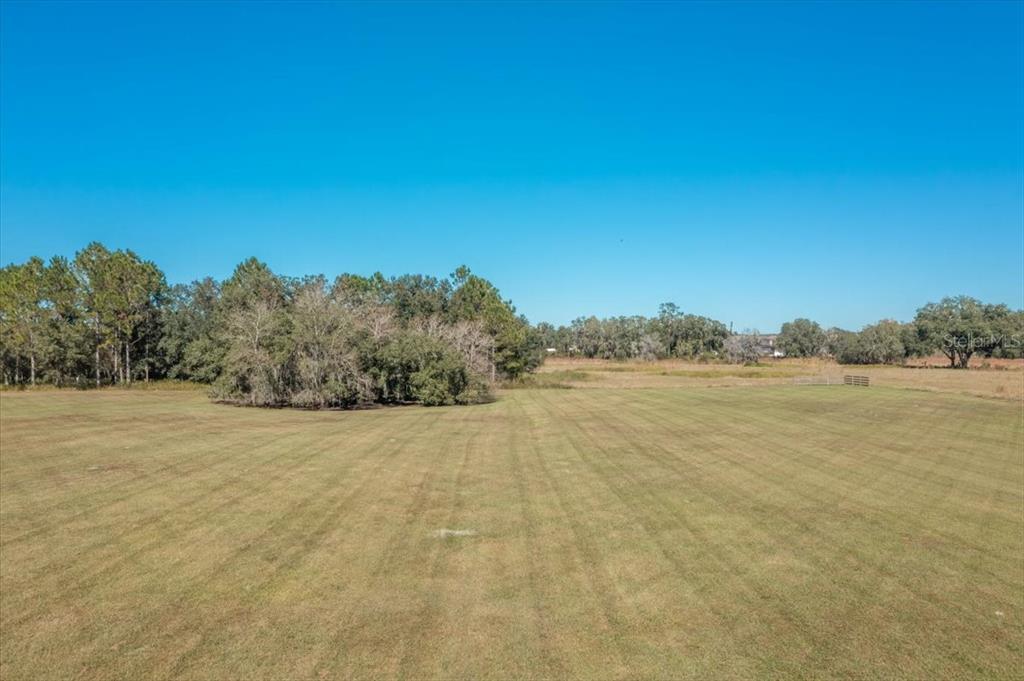 A large, mowed grassy field stretches toward a line of trees under a clear sky — 31935 COUNTY ROAD 52, SAN ANTONIO, FL