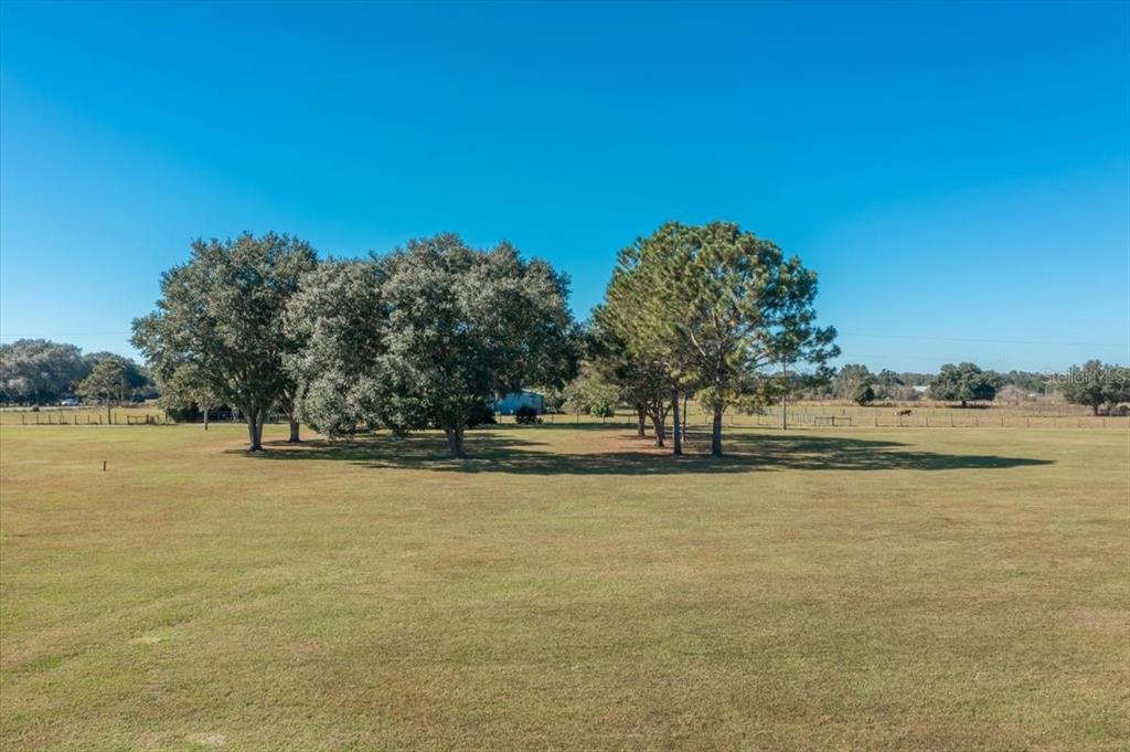 A large, grassy field features several mature trees under a clear blue sky — 31935 COUNTY ROAD 52, SAN ANTONIO, FL