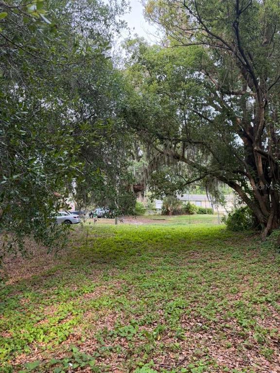 A grassy, tree-covered vacant lot viewed from a slightly elevated position — 1444 KETTLES AVENUE, LAKELAND, FL