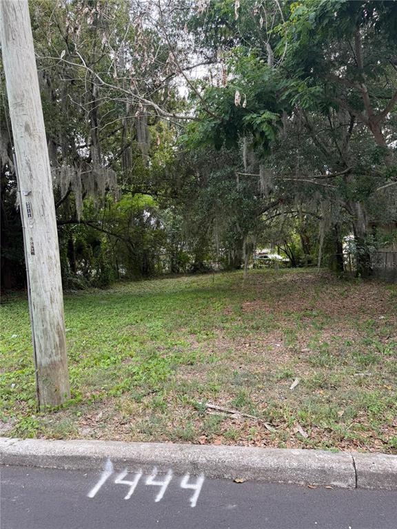 A vacant, tree-covered residential lot is viewed from the street curb — 1444 KETTLES AVENUE, LAKELAND, FL