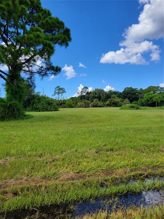 A large, grassy, open lot features a prominent pine tree and distant treeline under blue skies — 4142 NW 40TH AVENUE, CAPE CORAL, FL