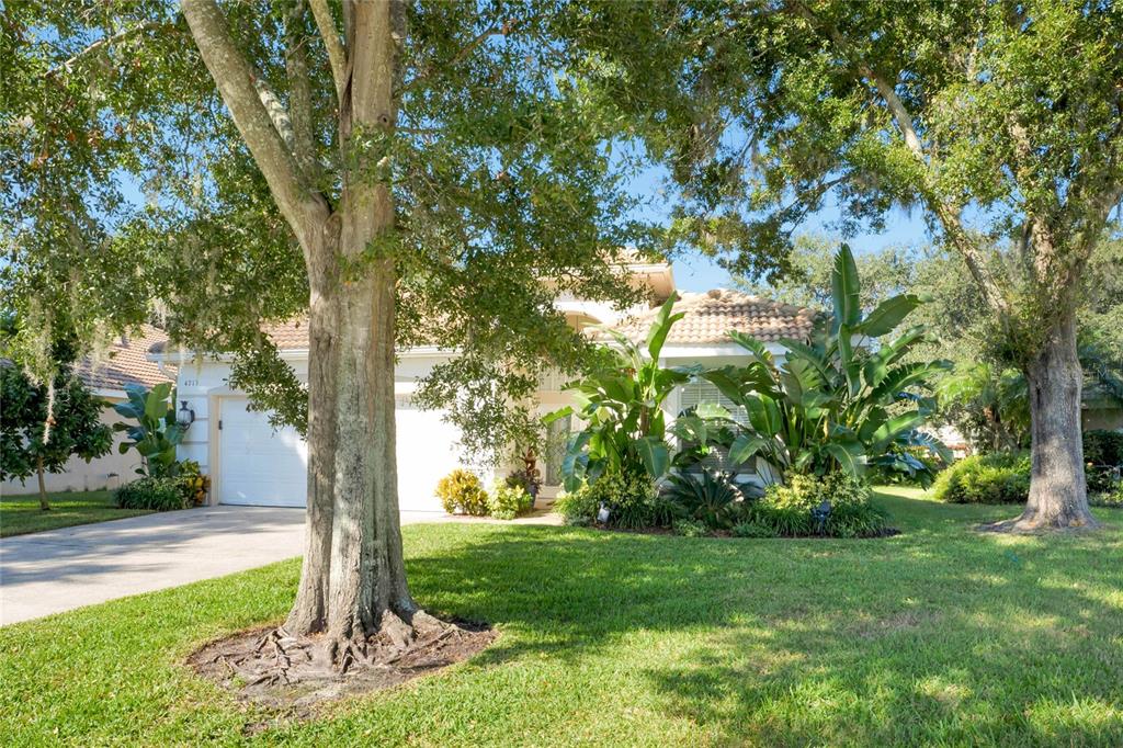A single-story house with a white exterior, tile roof, and large trees in the front yard — 4713 WINDSOR AVENUE, ORLANDO, FL