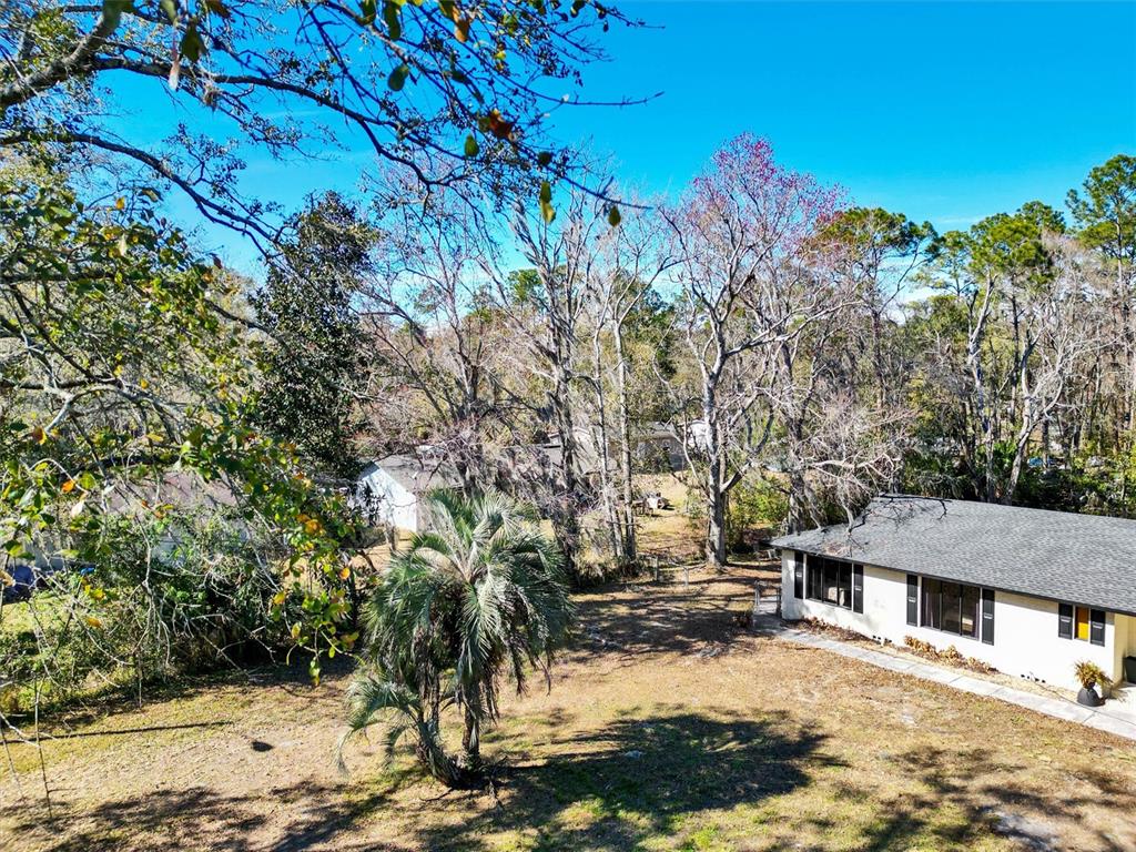 An elevated view of a backyard with a palm tree, trees, and a house exterior — 7569 PARK CITY DRIVE, JACKSONVILLE, FL
